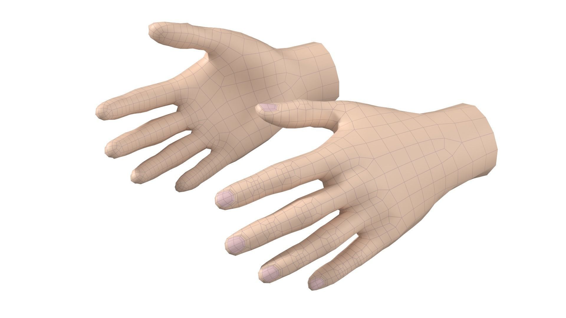 Female Hand Base Mesh 09 3D model_13