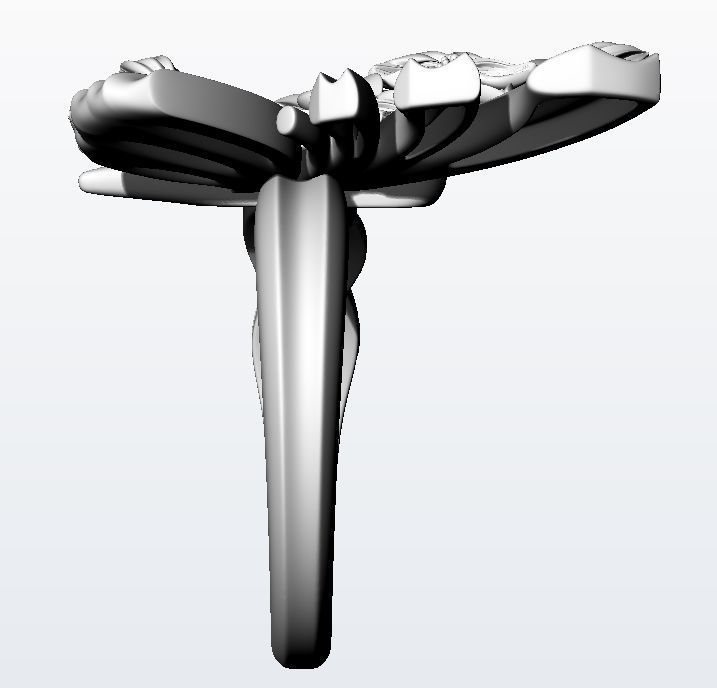 Metamorphosis ring  3D print model_15