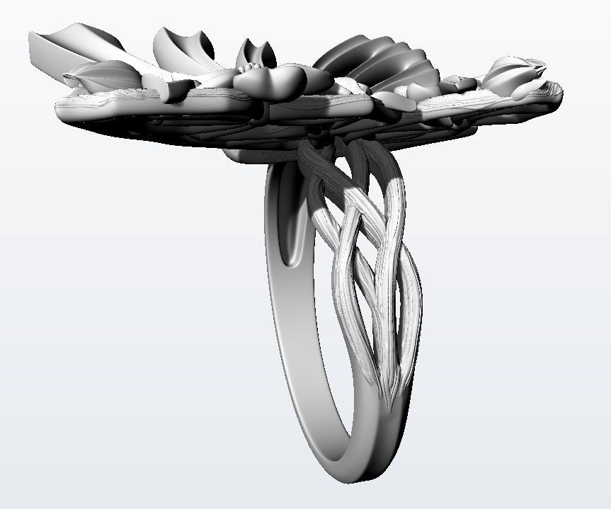 Metamorphosis ring  3D print model_16