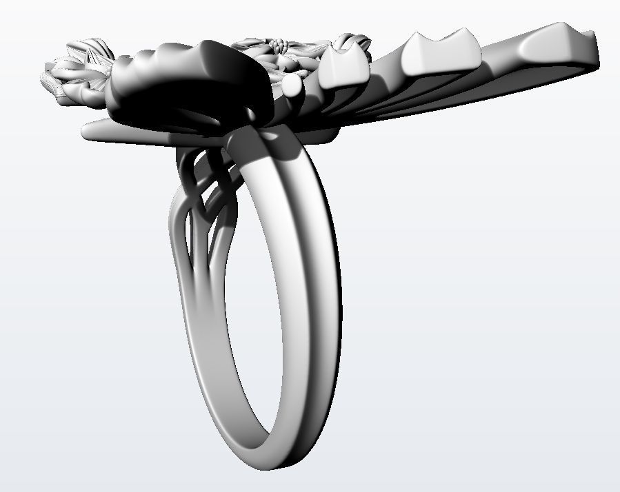 Metamorphosis ring  3D print model_17