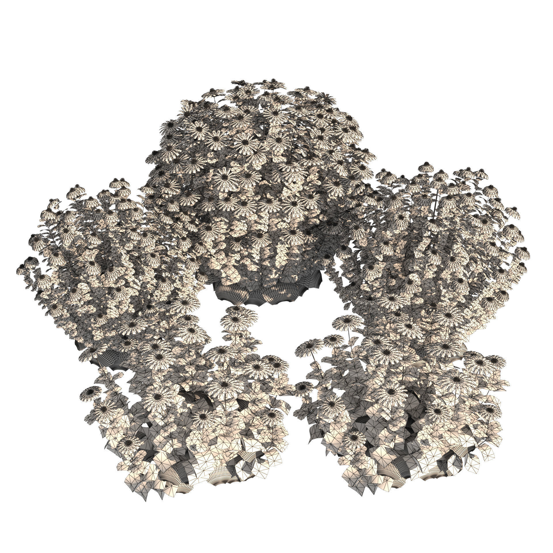 3d collection of Rubinstern and Coneflowers with free tutorial Low-poly 3D model_13