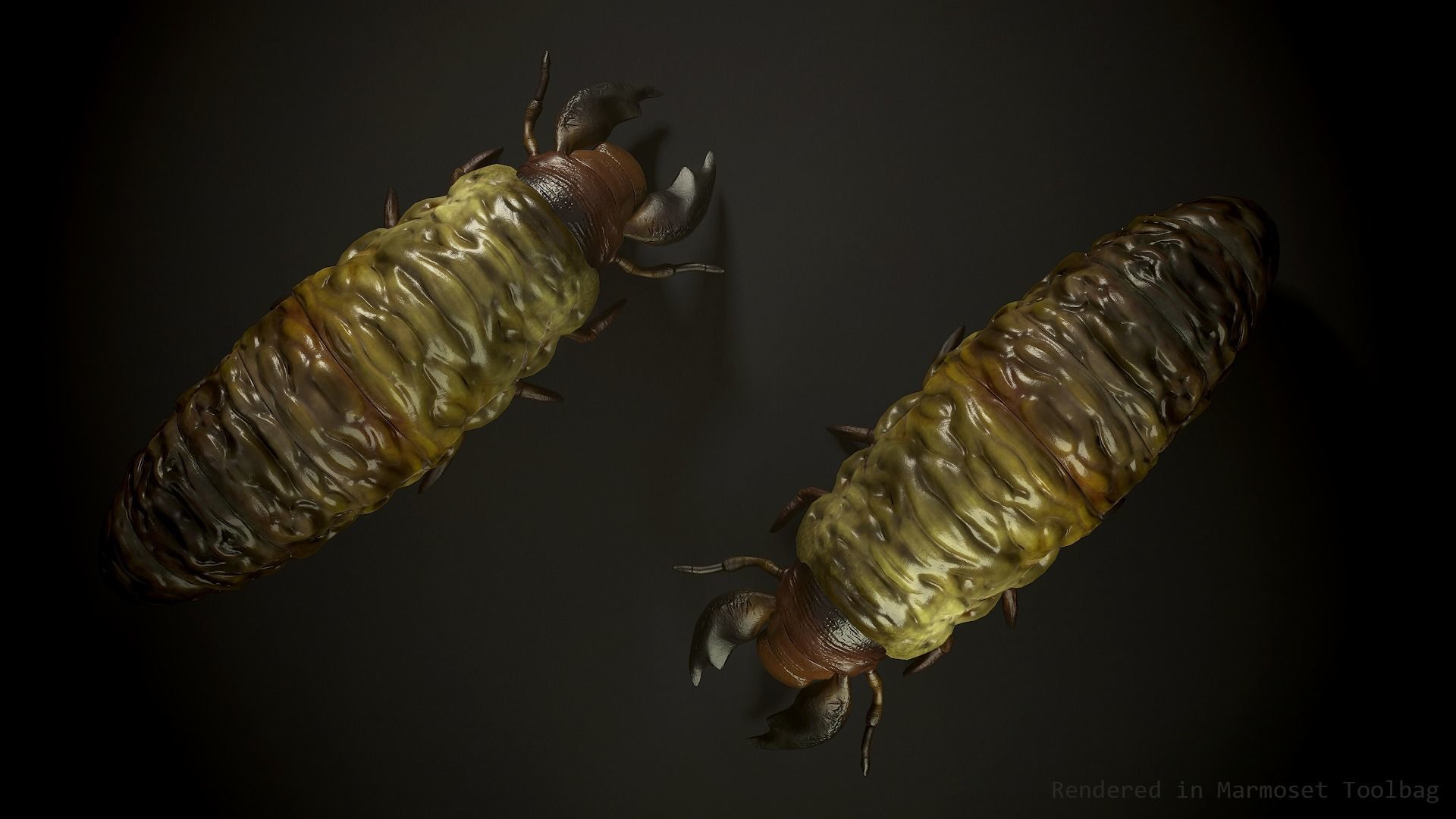 Larva insect2 - Game Ready Low-poly 3D model Low-poly 3D model_2