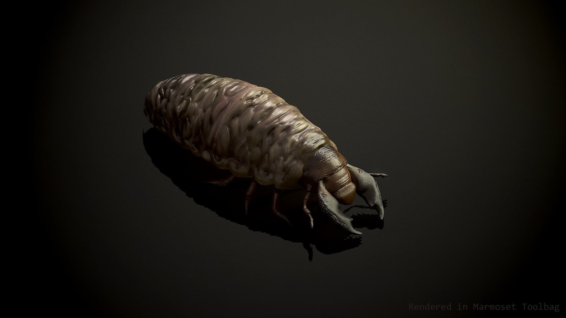 Larva insect2 - Game Ready Low-poly 3D model Low-poly 3D model_3