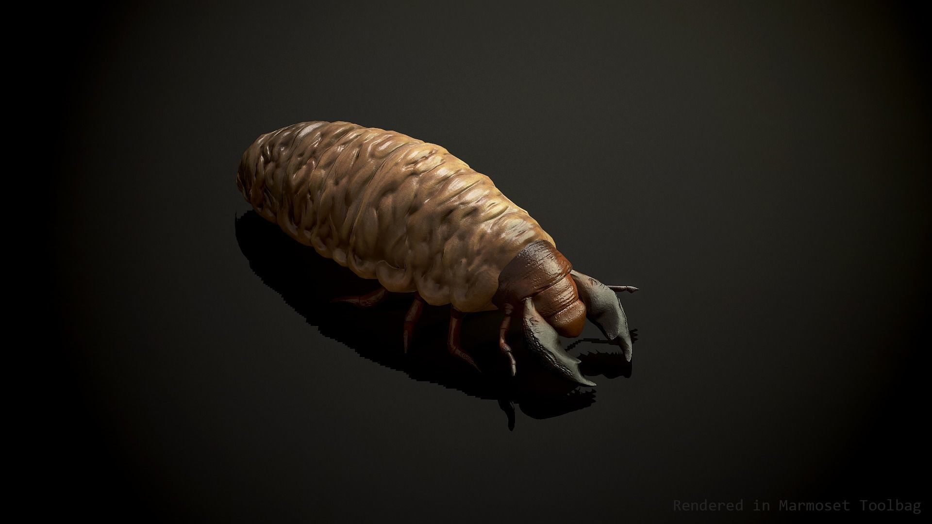 Larva insect2 - Game Ready Low-poly 3D model Low-poly 3D model_5