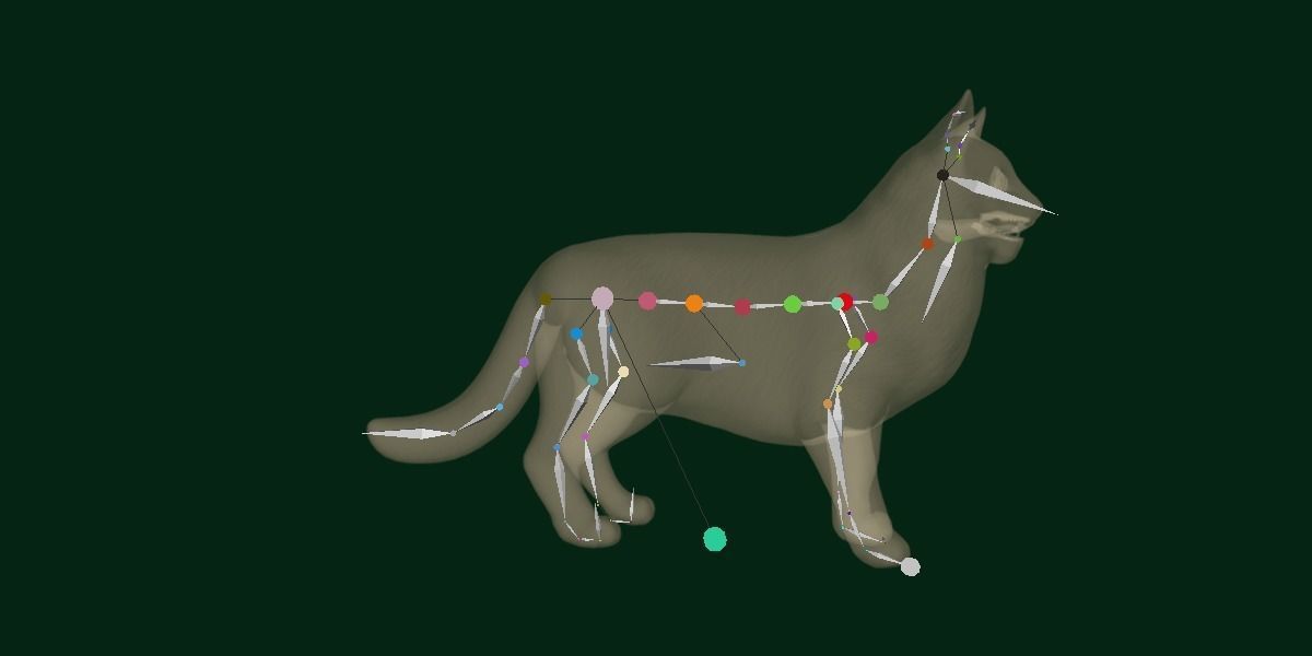 Long-haired Abyssinian Cat 3D model_17