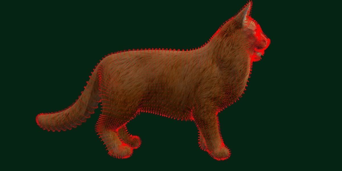 Long-haired Abyssinian Cat 3D model_13