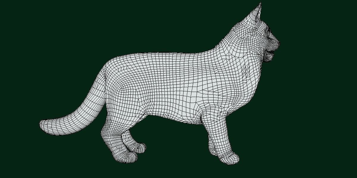 Long-haired Abyssinian Cat 3D model_12