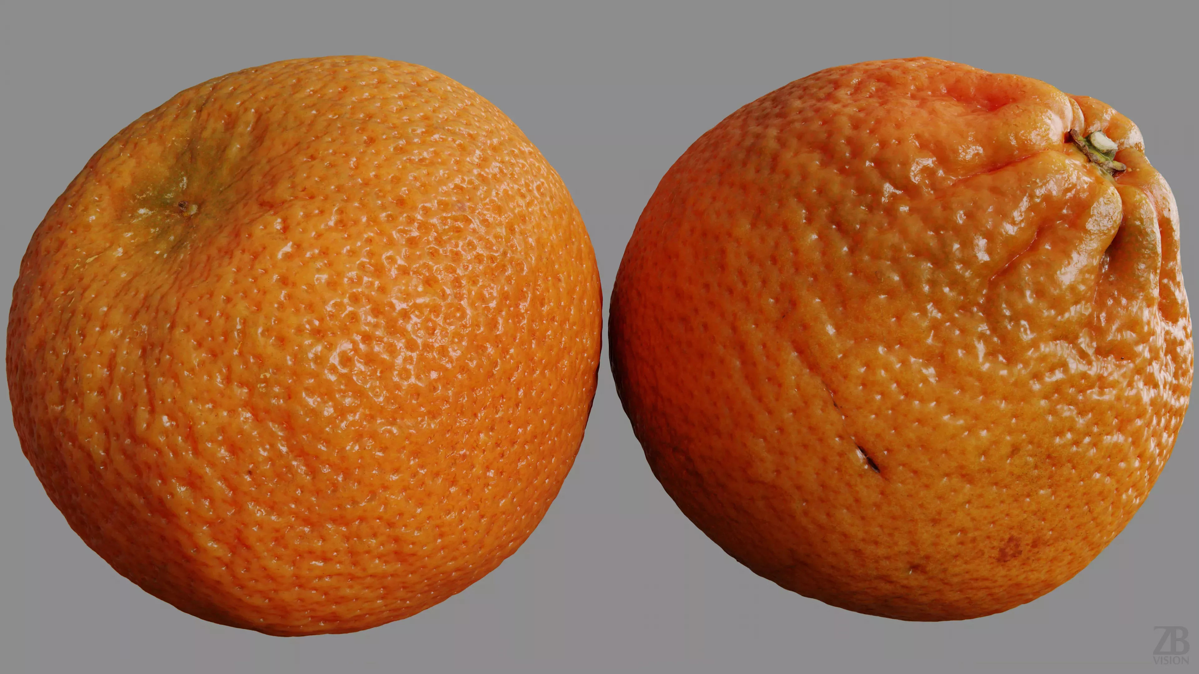 Clementine 3D model_9