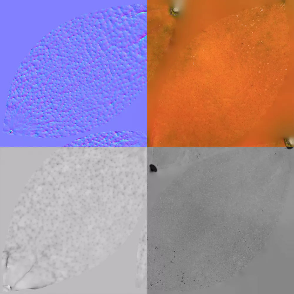 Clementine 3D model_8