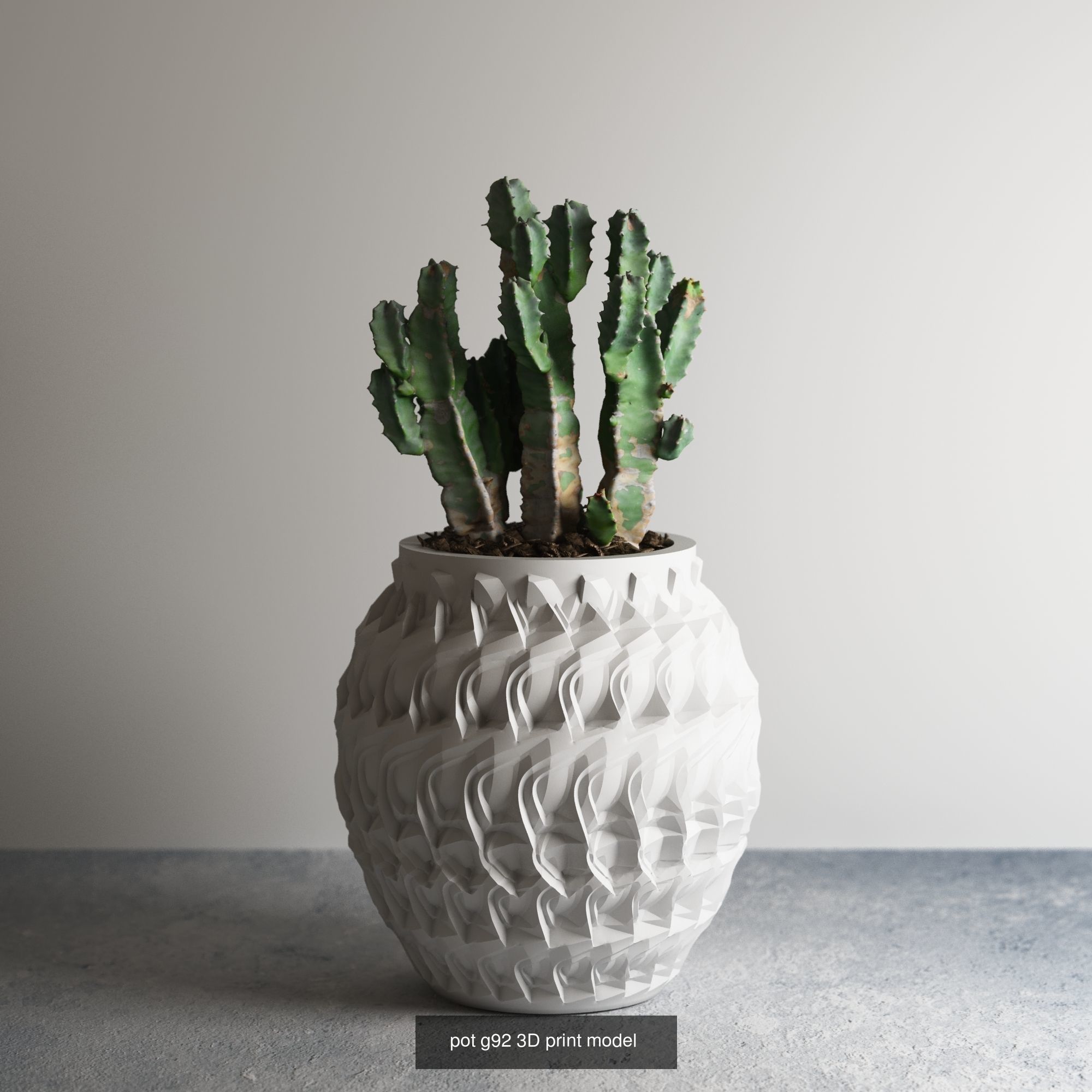 pot collection a08 5 pots _5