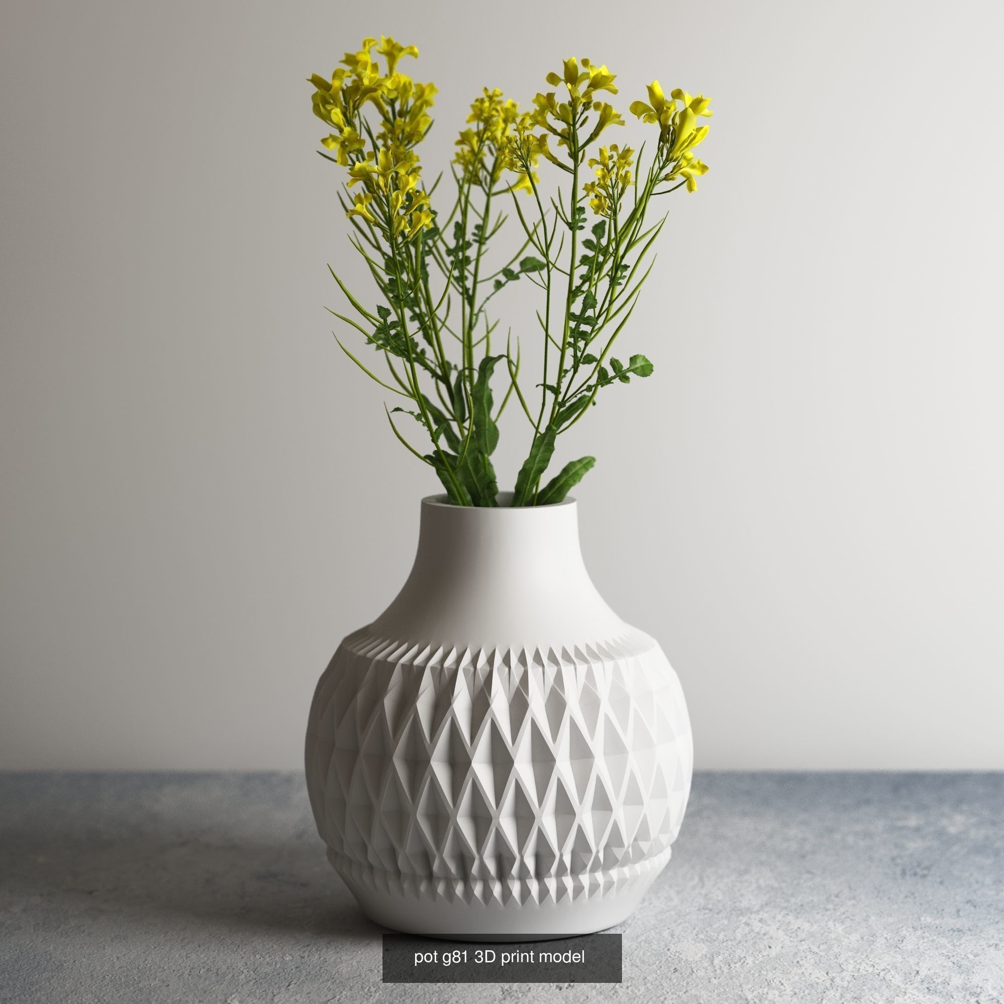 pot collection a10 5 pots _5