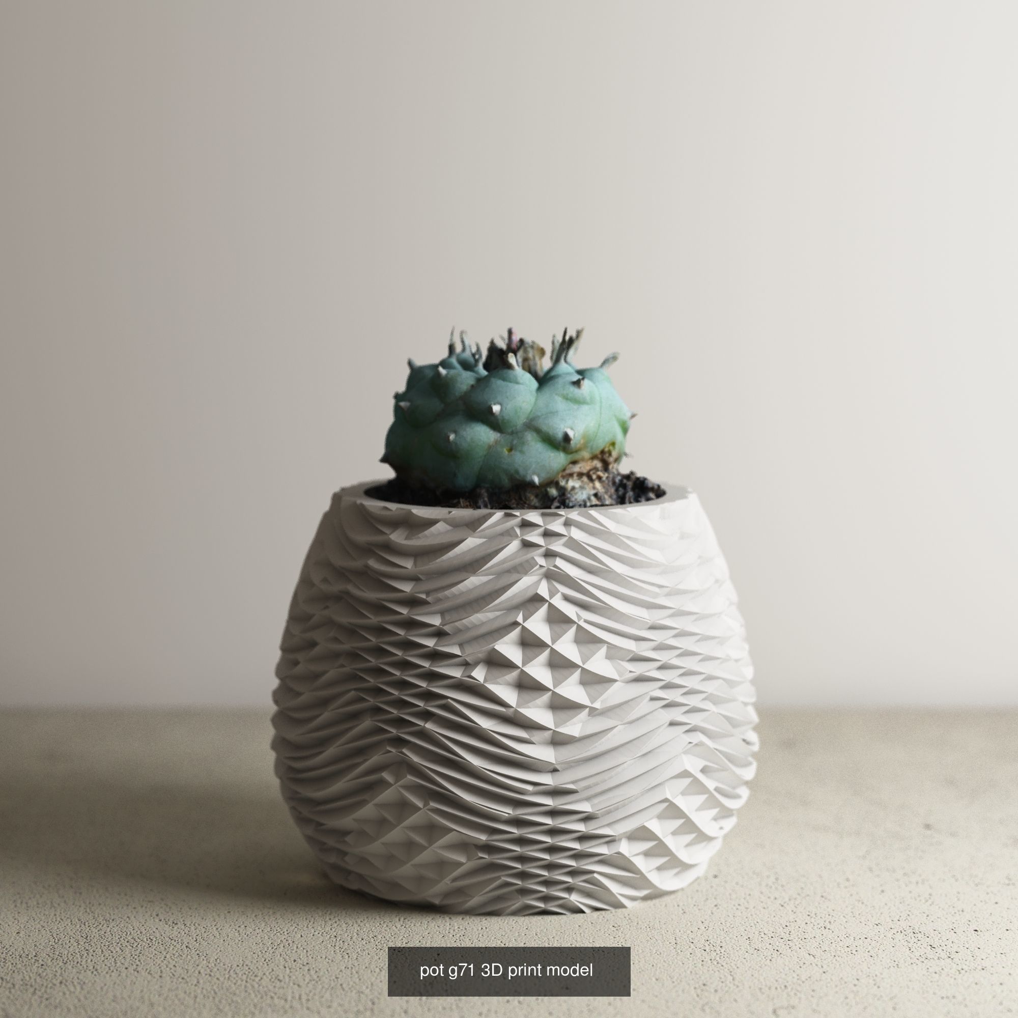 pot collection a012 5 pots _1