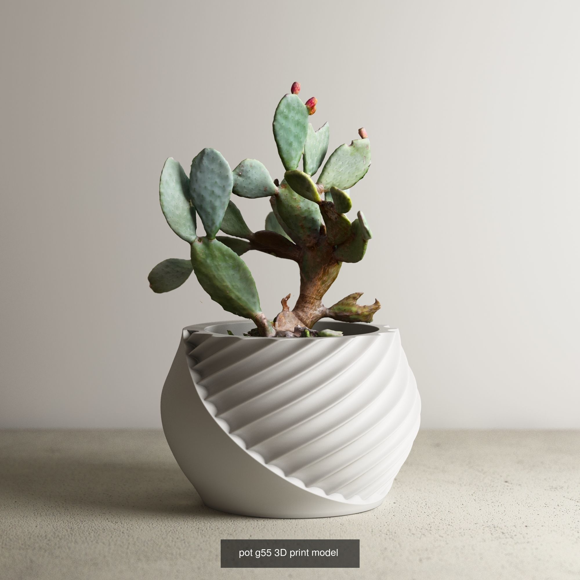 pot collection a14 5 pots _2