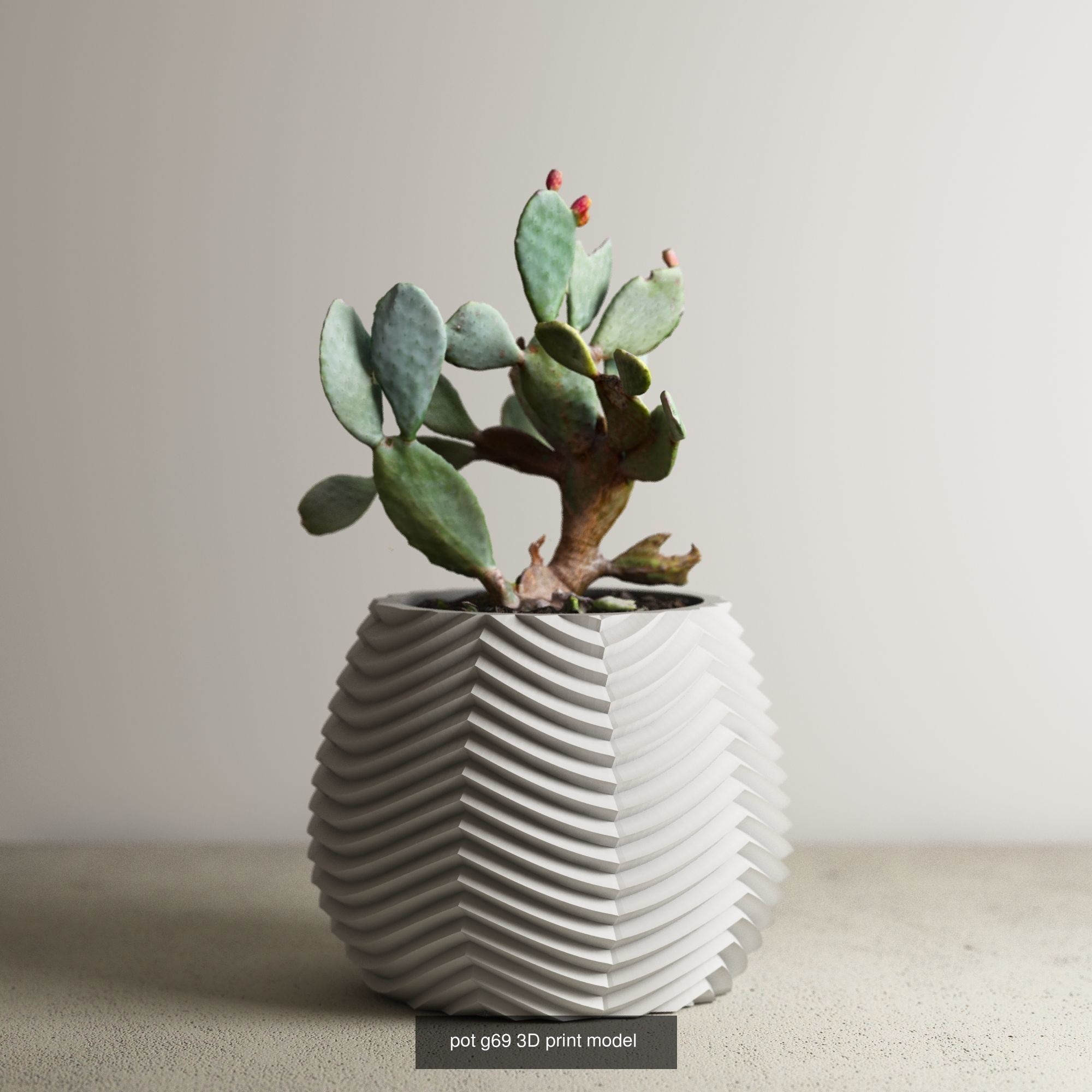 74 huge pot vase collection 3d print model a01 _60