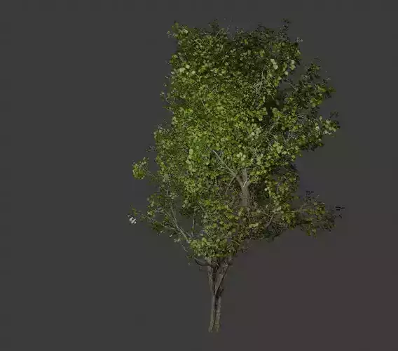 low poly tree