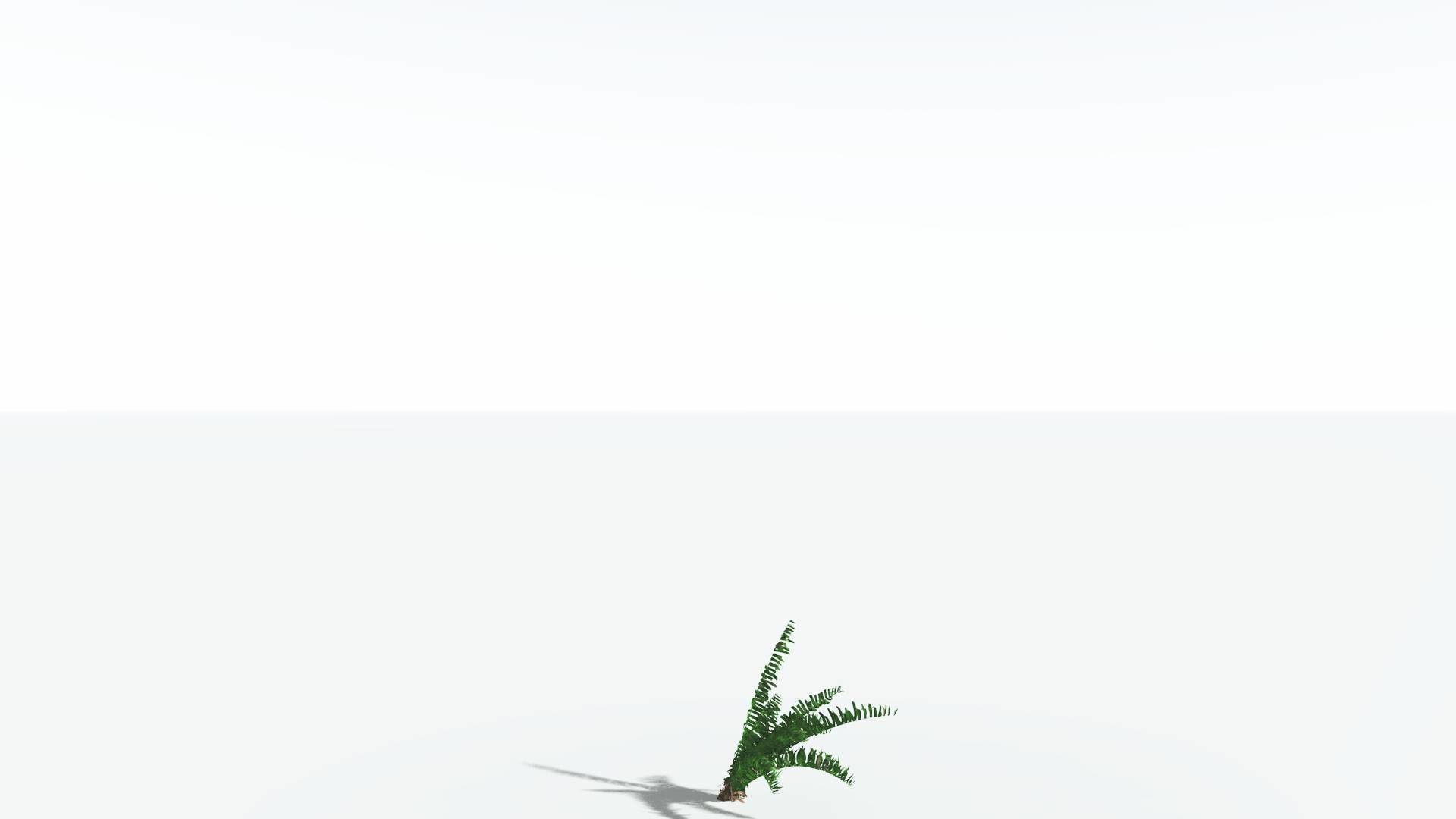EVERYPlant Pseudoctnis Cycad 3 --12 Models-- 3D model_20