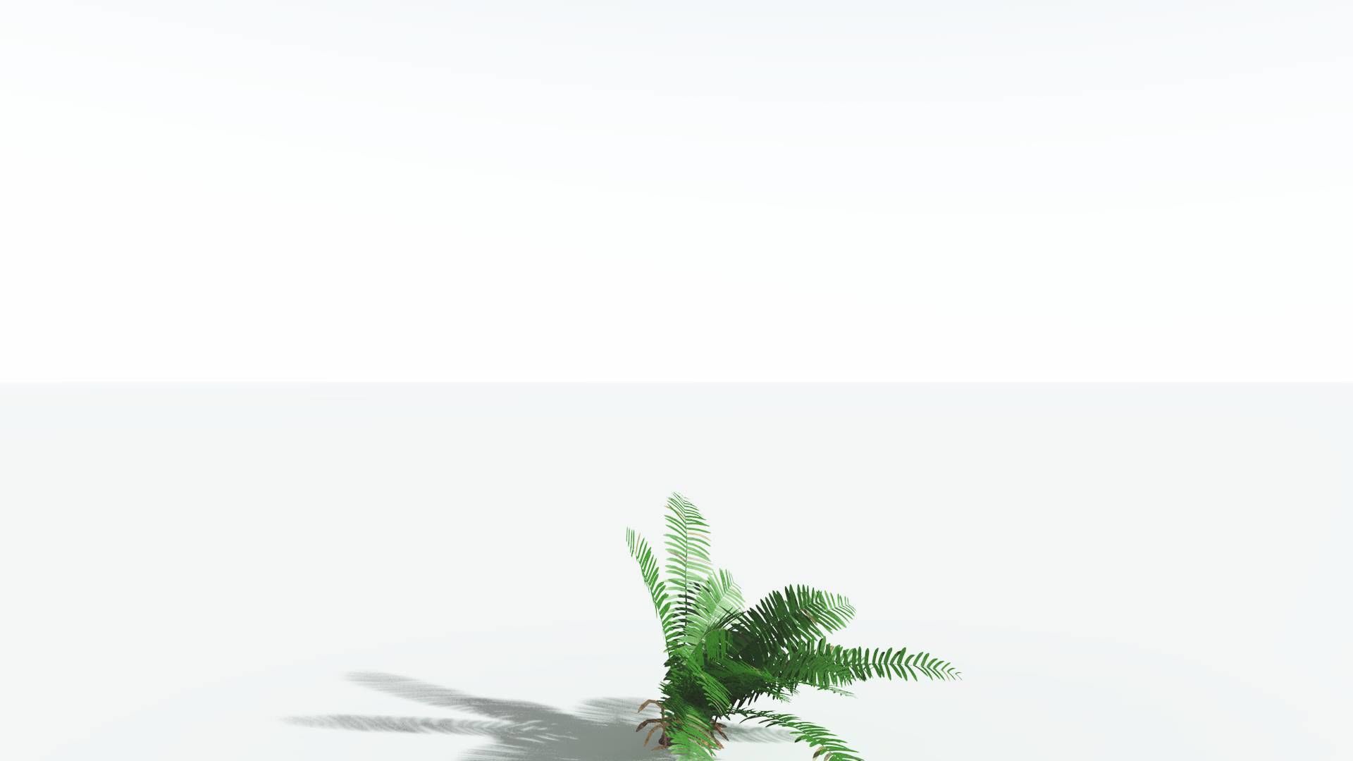 EVERYPlant Pseudoctnis Cycad 3 --12 Models-- 3D model_18