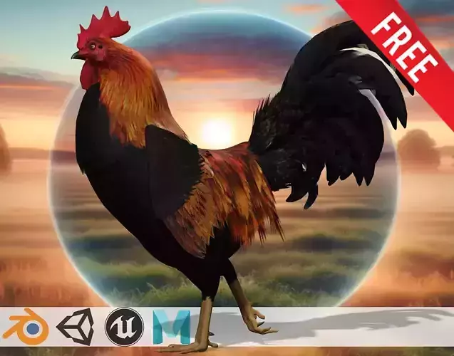 Sunrise Sovereign Rooster of the Morning Low-poly 3D model