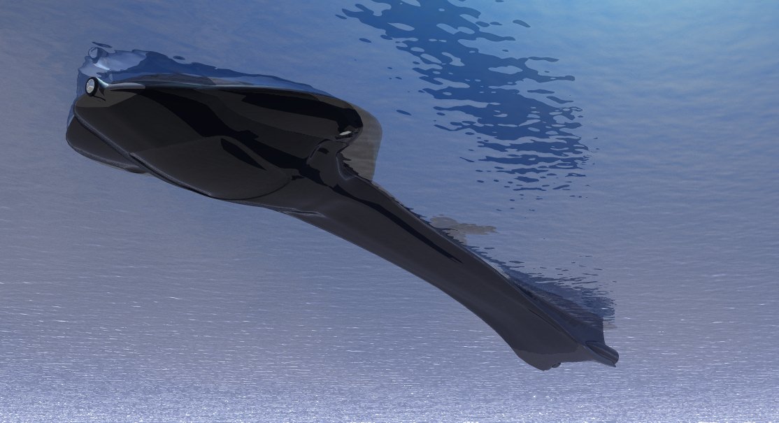 Seaview submarine and aerosub Free 3D model_2