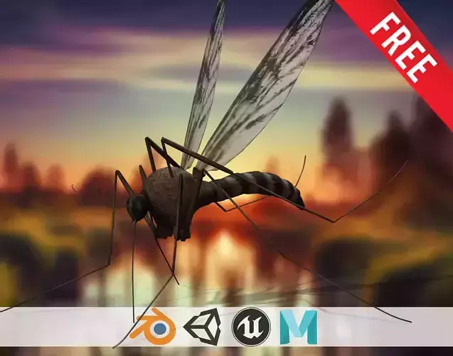 Whisper Wing Silent Hunter free mustique Low-poly 3D model