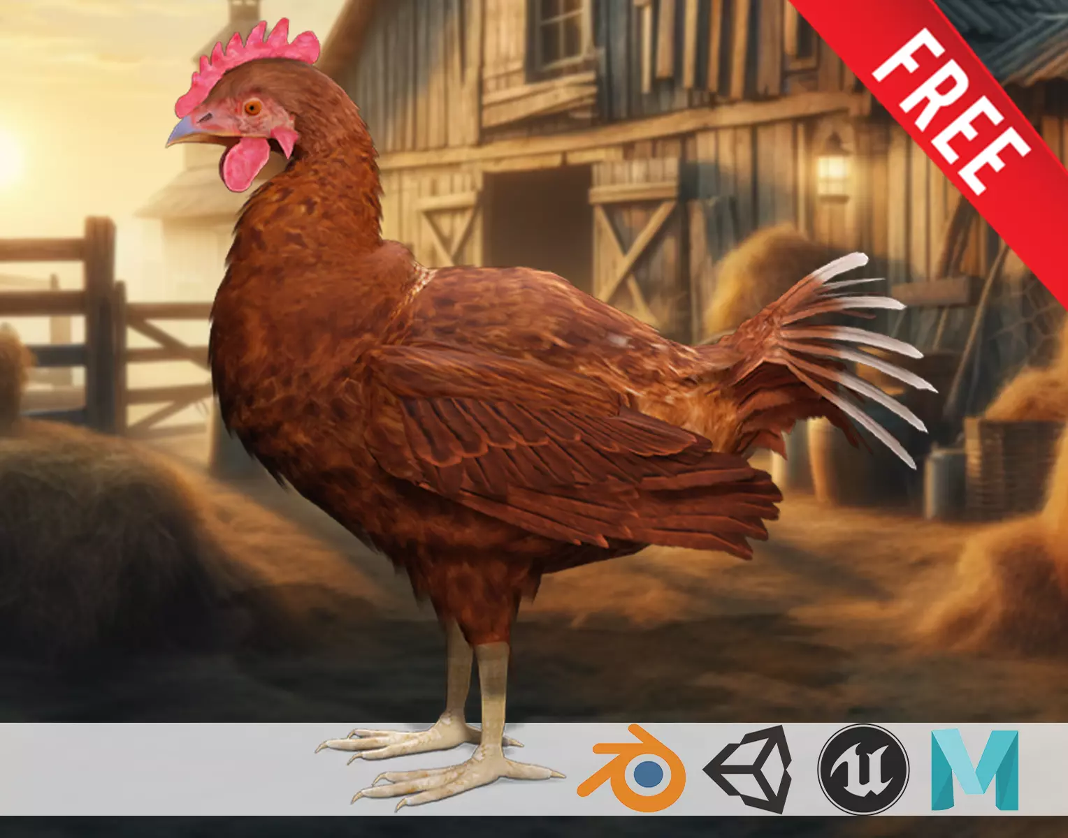 Farm Favorite 3D free Chicken The Egg Producer Low-poly 3D model_0