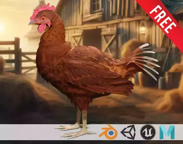 Farm Favorite 3D free Chicken The Egg Producer Low-poly 3D model