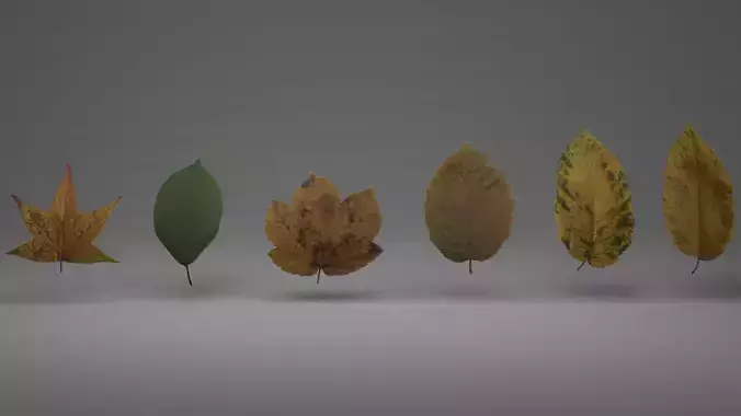 lowpoly leaves pack