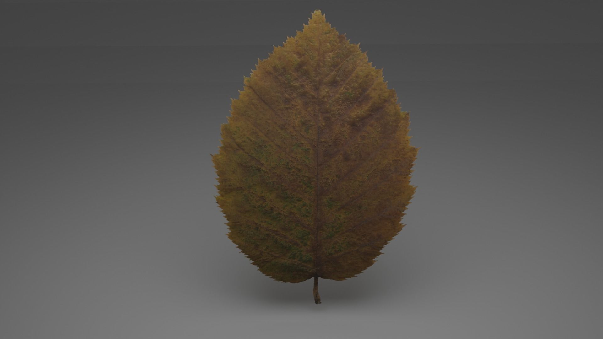 lowpoly leaves pack Low-poly 3D model_3