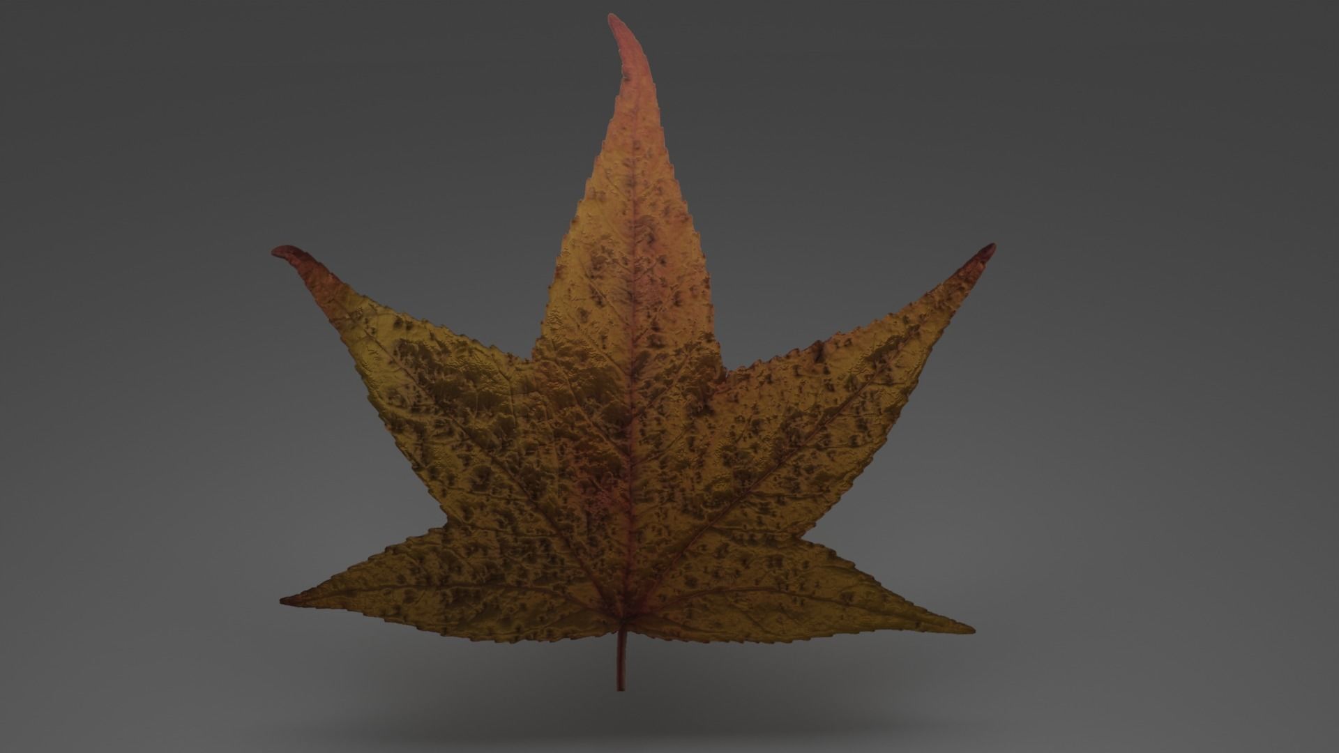 lowpoly leaves pack Low-poly 3D model_5