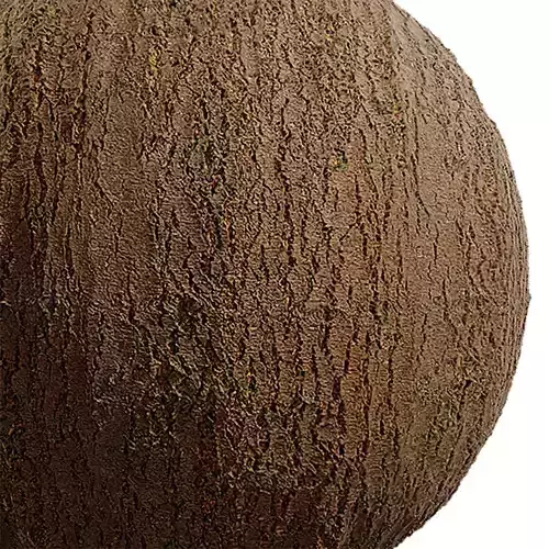 Bark Seamless Texture 2K - EXR 7 - JPG 7 Texture