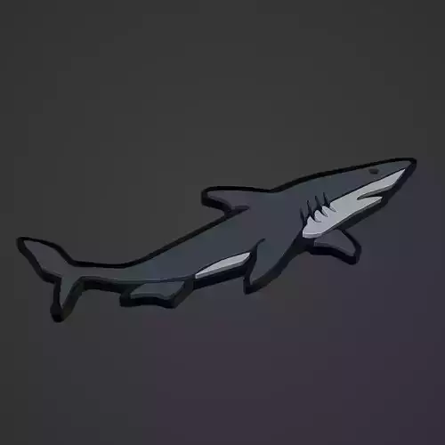 Shark Animal