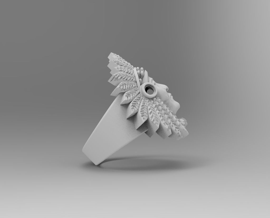 anillo indio  3D print model_1