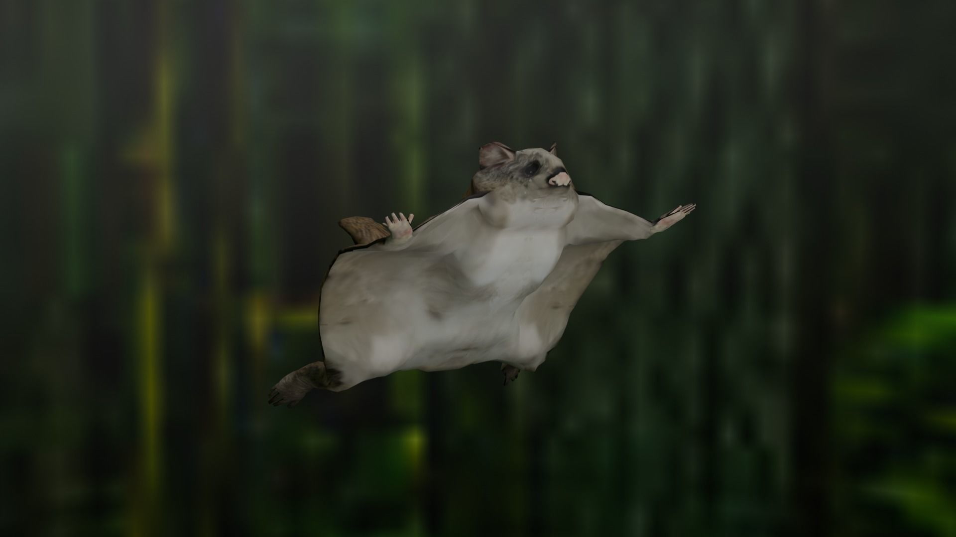 Flying squirrel low poly Low-poly 3D model_6