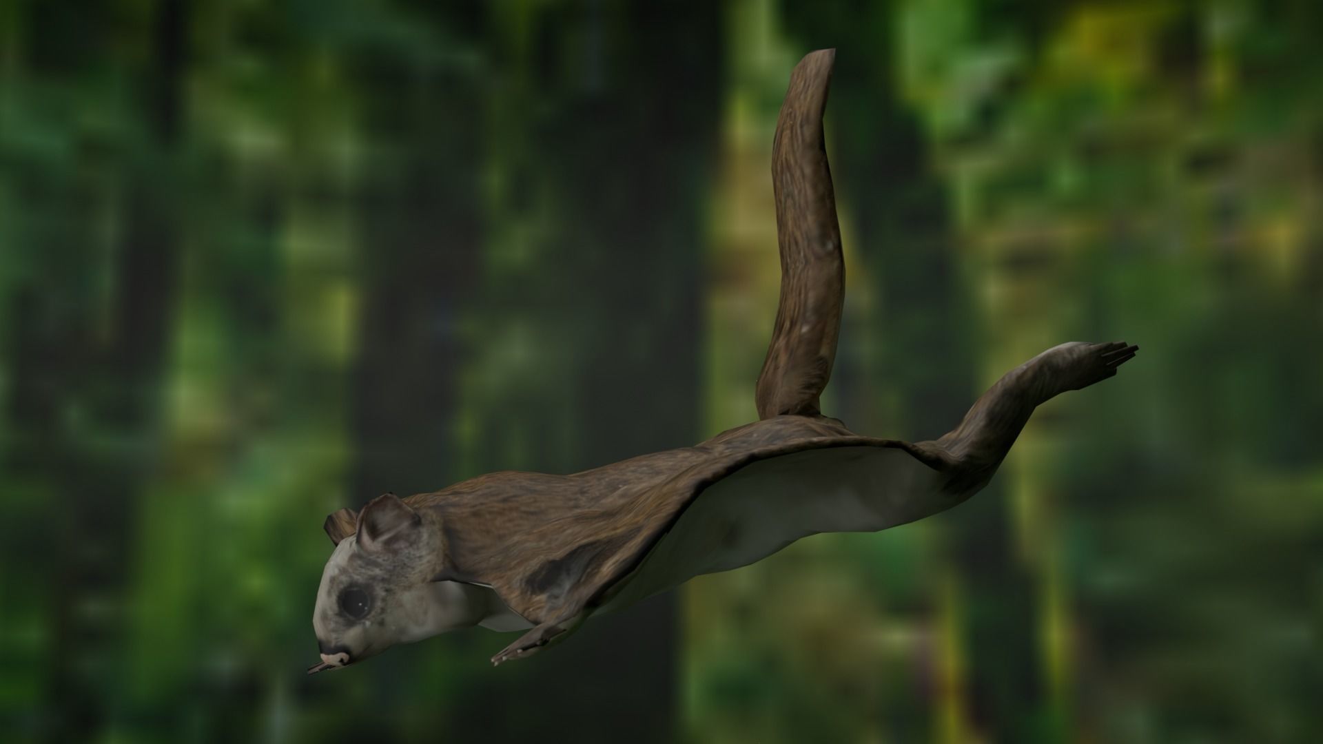 Flying squirrel low poly Low-poly 3D model_4