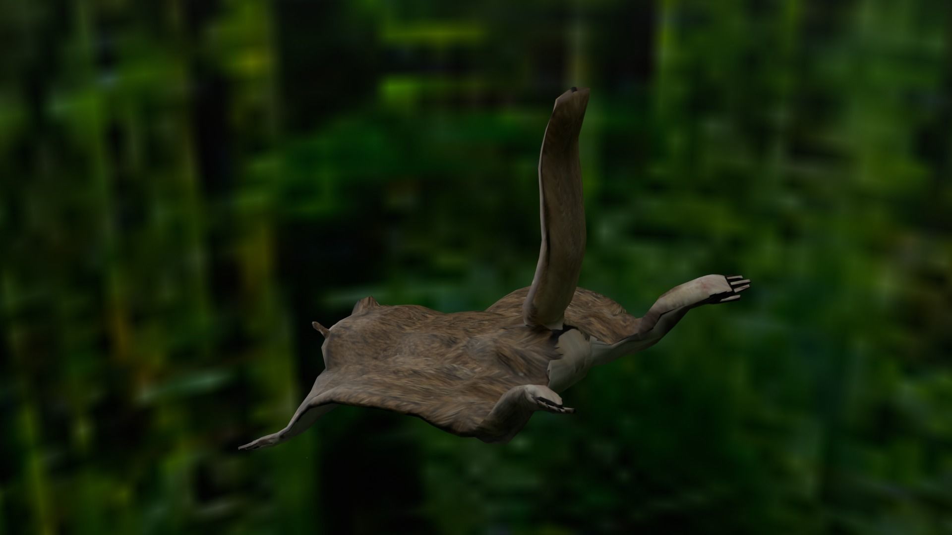 Flying squirrel low poly Low-poly 3D model_5