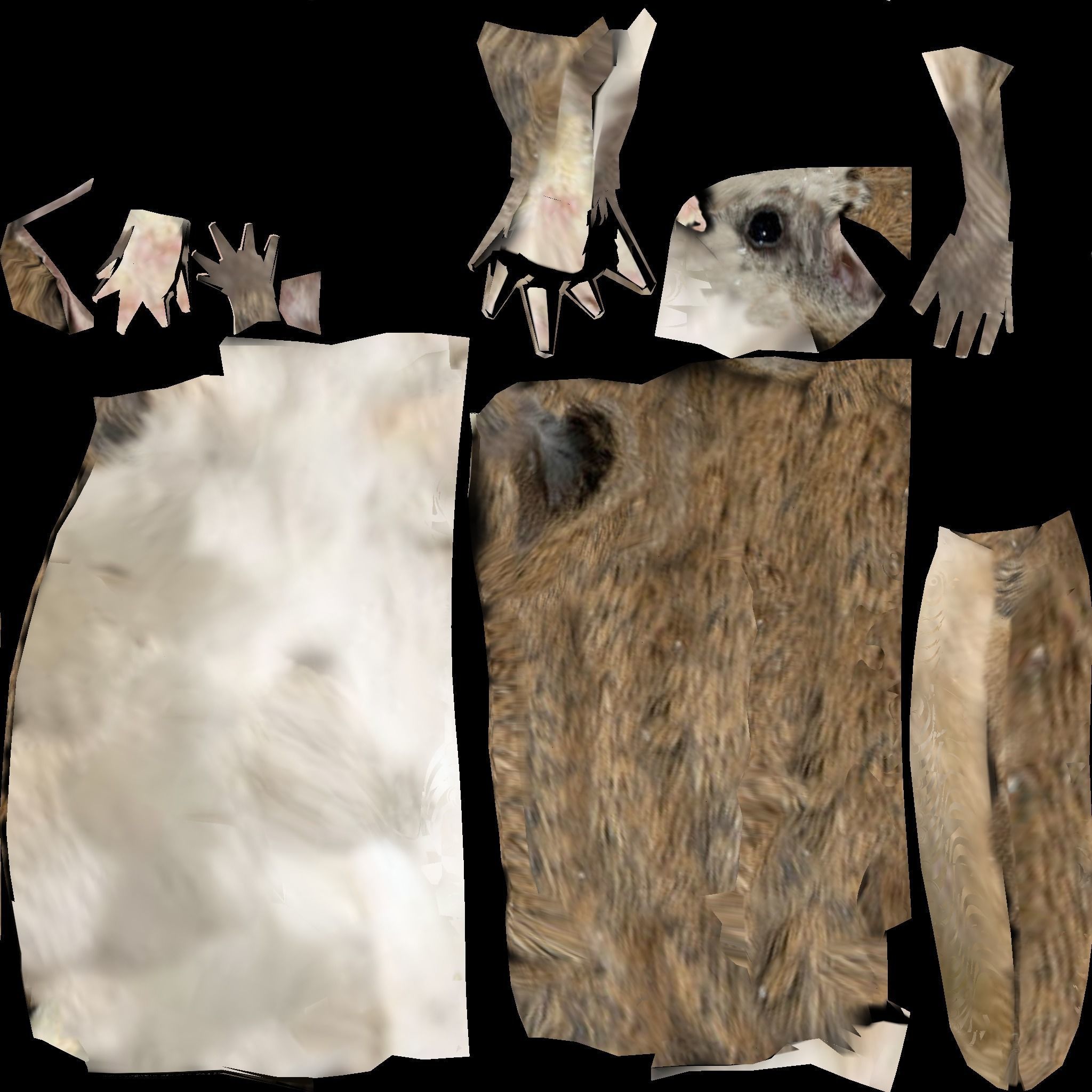 Flying squirrel low poly Low-poly 3D model_7