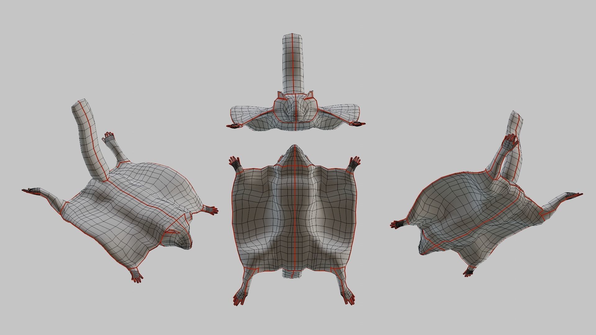 Flying squirrel low poly Low-poly 3D model_3