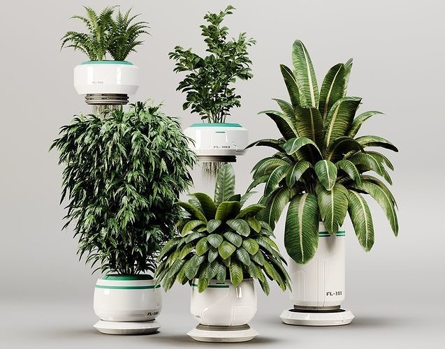 Indoor Plant set 01 3D model