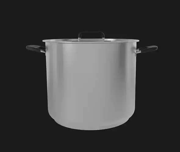 Stainless Steel Stockpot