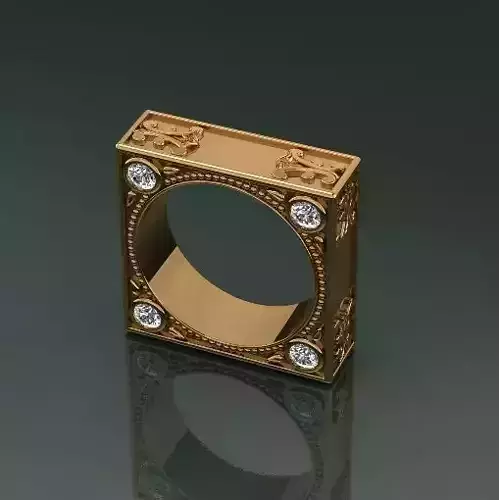 Ring Model 5205