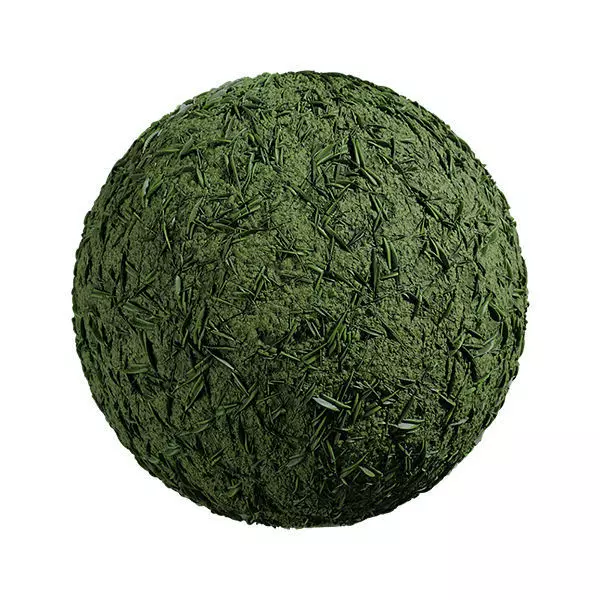 Grass 02 Texture