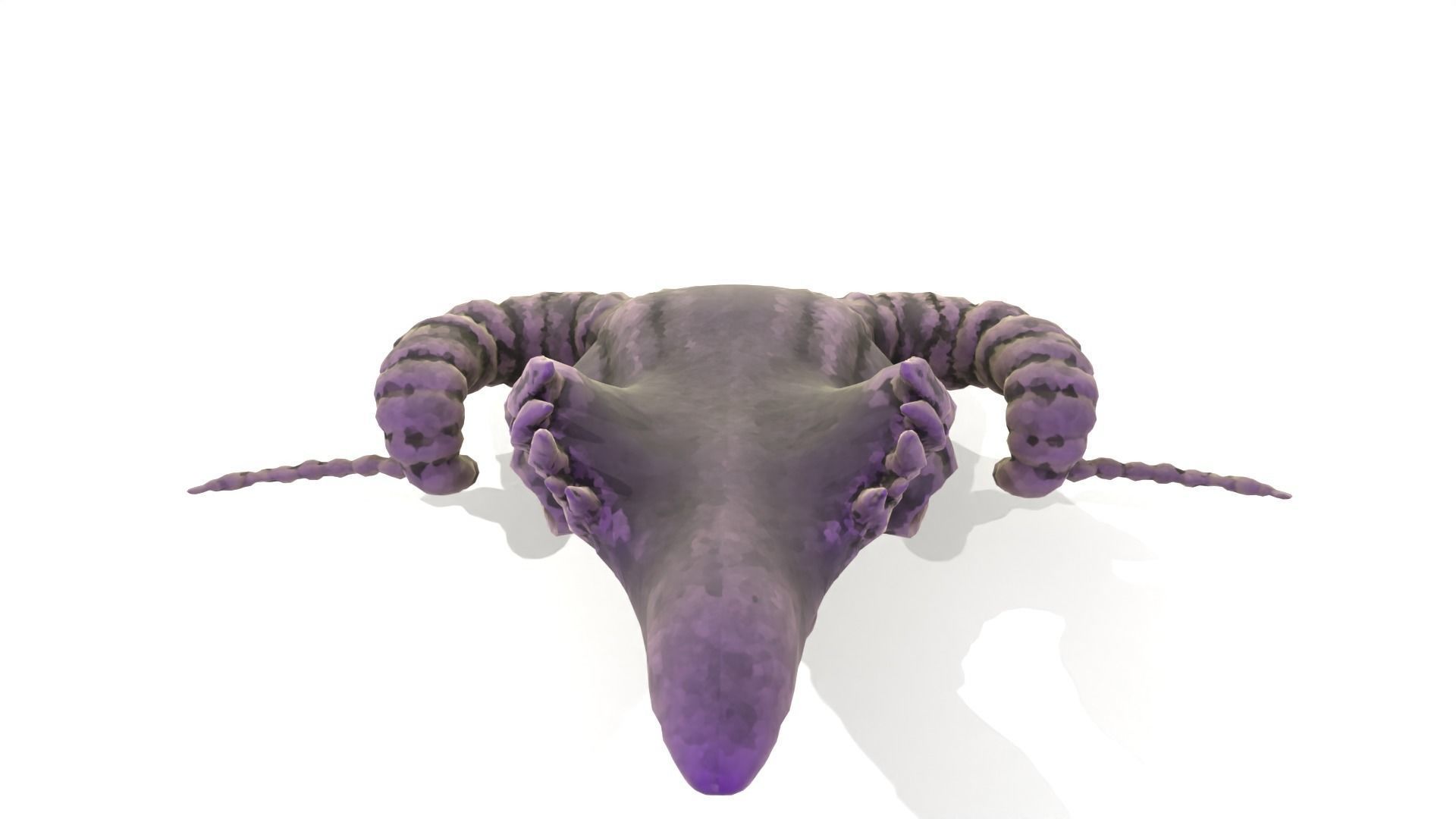Ram Skull Low-poly 3D model_3