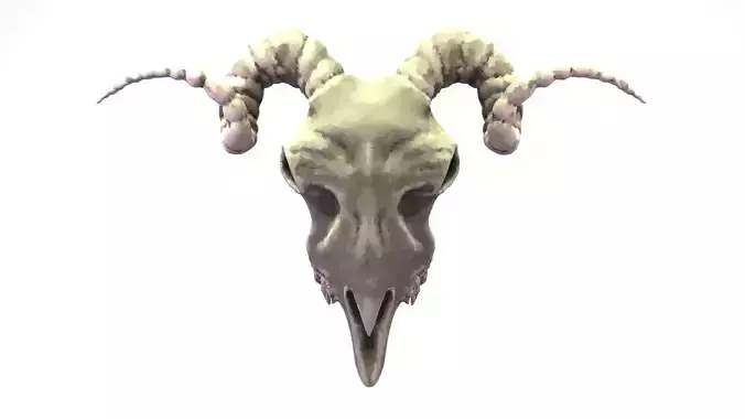 Ram Skull