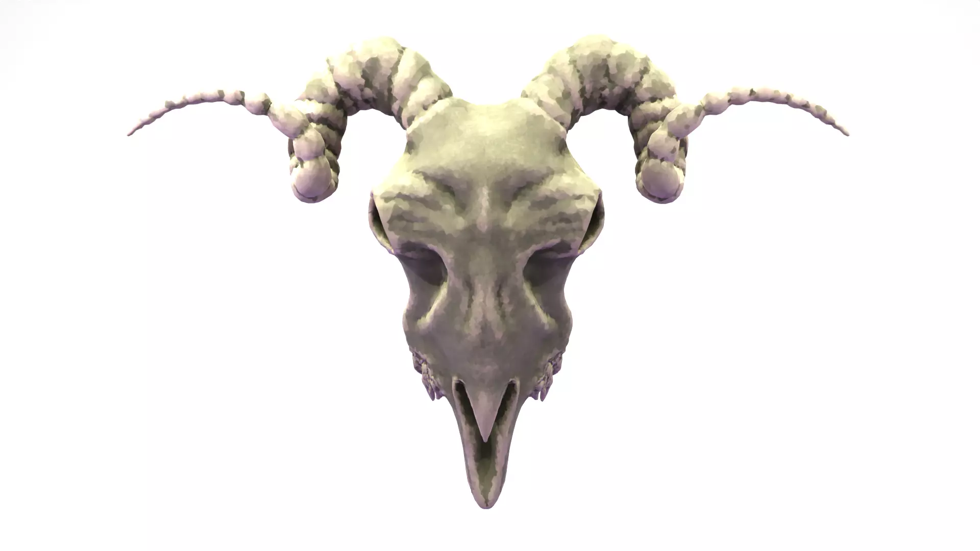 Ram Skull Low-poly 3D model_0