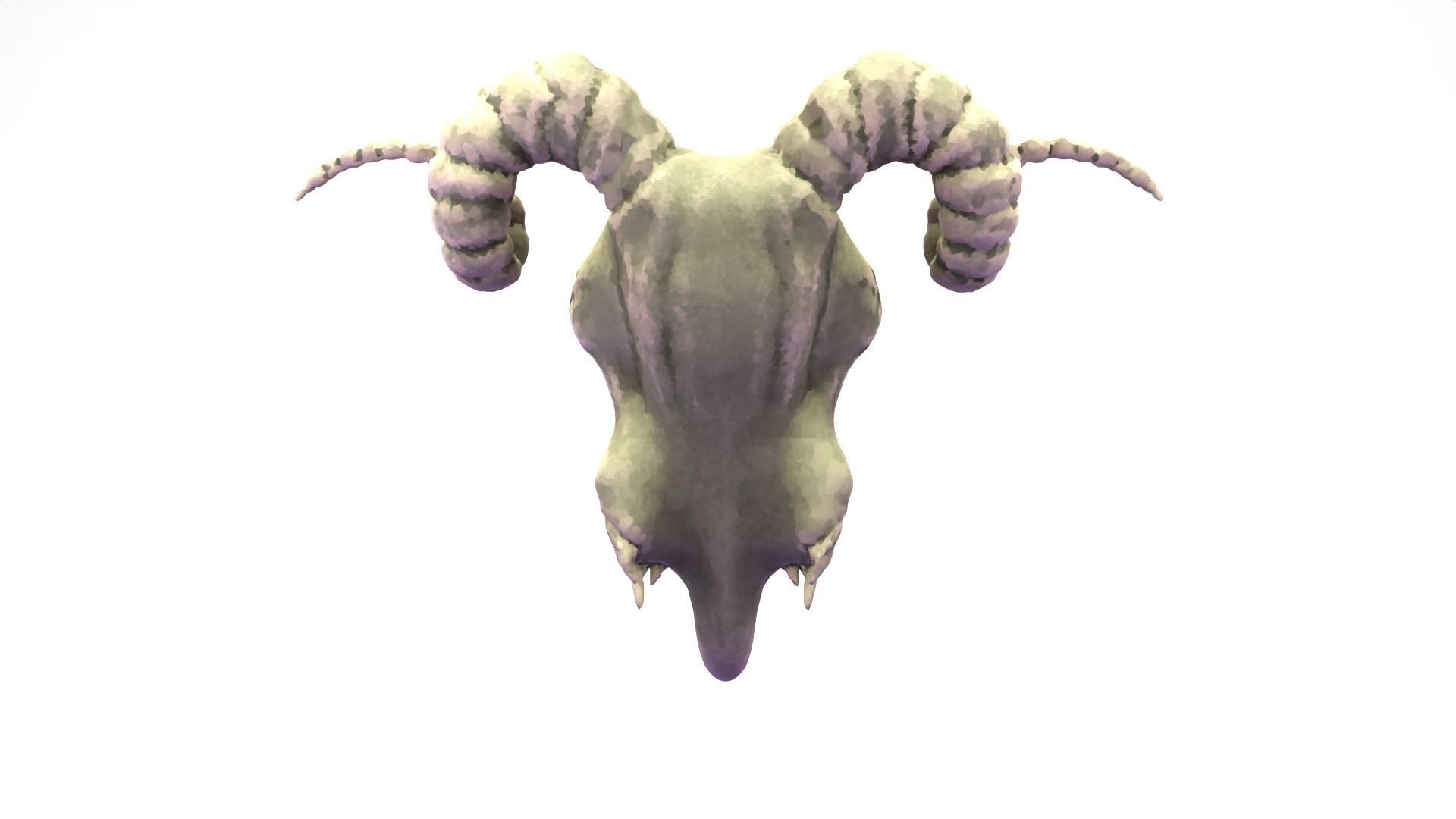 Ram Skull Low-poly 3D model_2