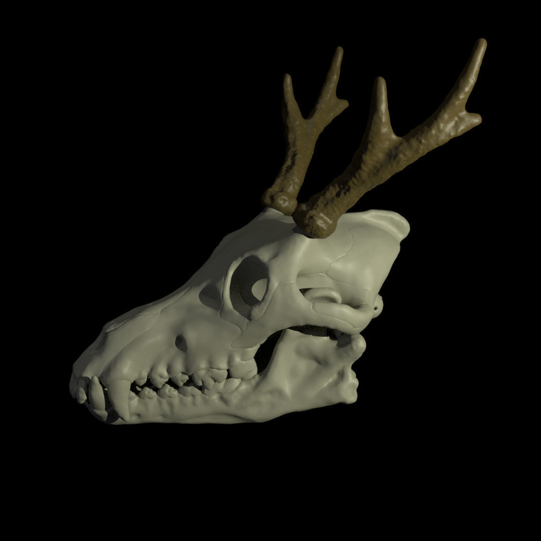 Skull Pet Arm Puppet 3D Print 3D print model_2