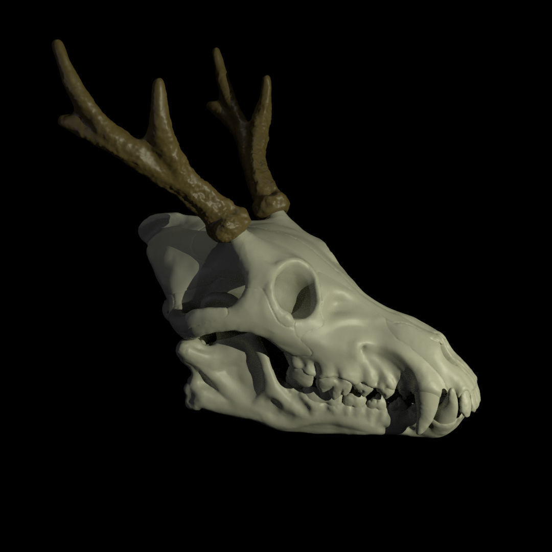 Skull Pet Arm Puppet 3D Print 3D print model_1