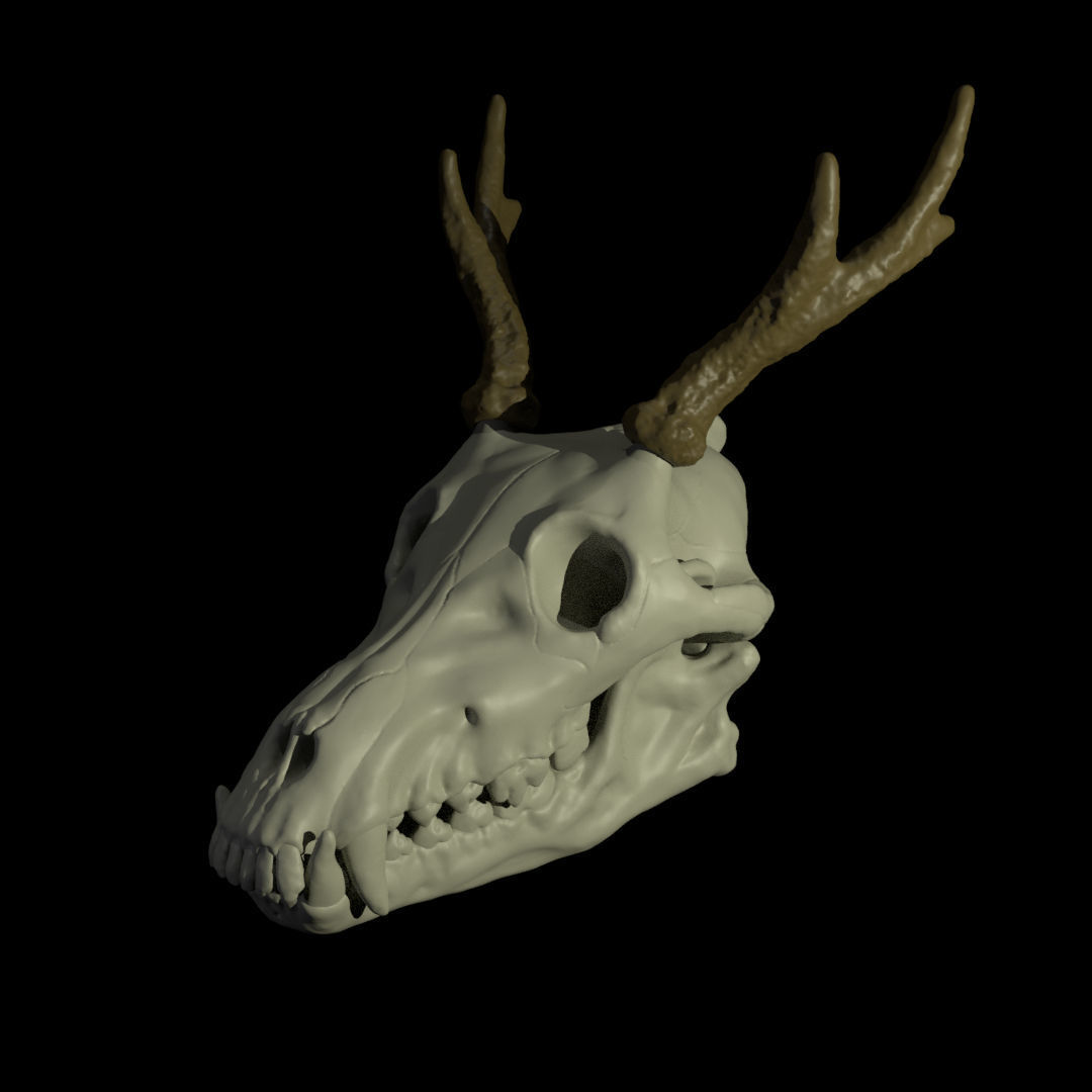 Skull Pet Arm Puppet 3D Print 3D print model_3