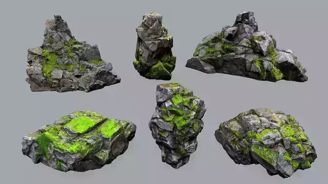 forest rocks