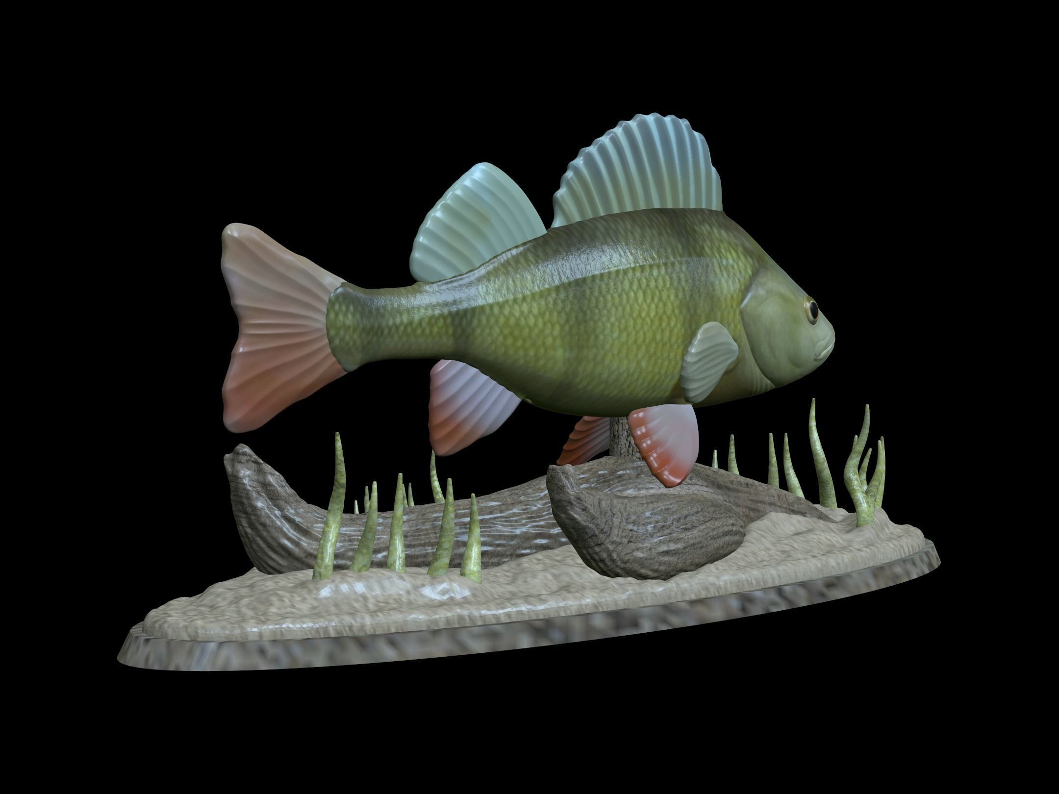 BIG PERCH UNDERWATER STATUE DETAILED TEXTURE FOR 3D PRINTING 3D print model_1